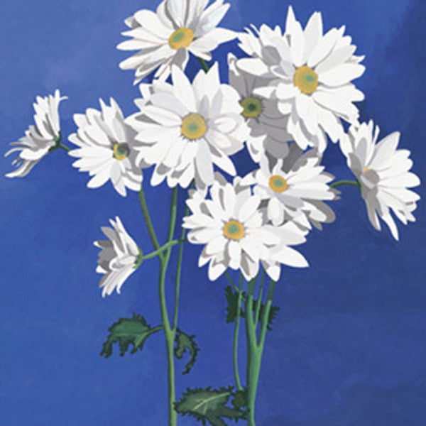 Daisies